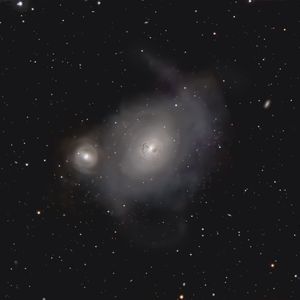 Full Portfolio Gallery